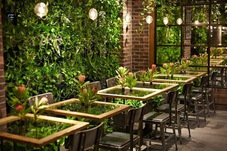 Vườn trên tường - Trang trí quán cafe độc đáo tươi mát